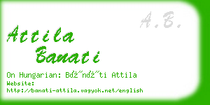 attila banati business card